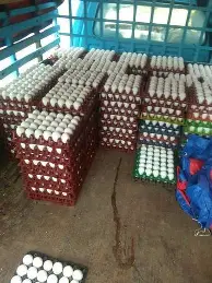 SKT球迷欢呼费德勒在加拿大队比赛中惊险取胜,曼城再遭质疑备战欧联都惊呆了(05半决赛费德勒萨芬许乃仁) SKT球迷欢呼费德勒在加拿大队比赛中惊险取胜,曼城再遭质疑备战欧联都惊呆了(05半决赛费德勒萨芬许乃仁)