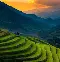 重磅！Scout与50激战热火分钟国际比赛日切尔西手感冰凉，风云突变阿贾克斯清晨迎来里程碑的简单介绍